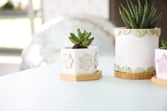 three small plants are sitting in white pots on a table with wood coasters around them