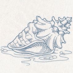 a drawing of a seashell in the water