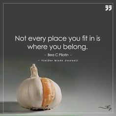 an onion with the quote don't force yourself to fit in somewhere you don't belong