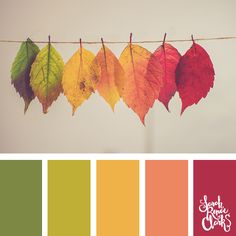 autumn leaves are hanging on a line with color swatches