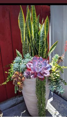 a large potted plant sitting on top of a table