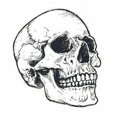 a black and white drawing of a human skull