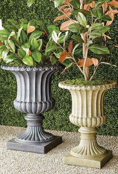 two vases with plants in them sitting next to each other on the ground near a wall