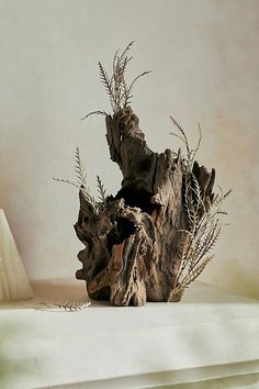 a piece of driftwood with plants growing out of it on a white table cloth