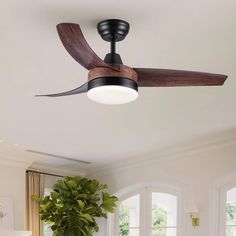 a ceiling fan in a living room with a potted plant on the table next to it