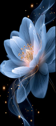 a blue flower with some lights in the back ground and on top of it's petals