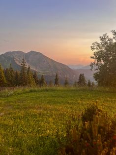 the sun is setting in the mountains with green grass and flowers on the foreground