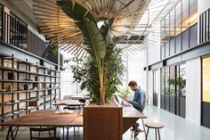 a man sitting at a table in front of a book shelf filled with books and plants