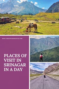 there is a collage of pictures with horses and mountains in the background, including a woman standing on an empty road