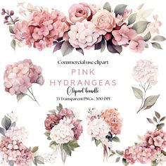 pink hydrangeas clipart bundle