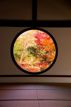 a circular window with colorful trees in the background and light coming through it to see them