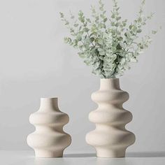 two white vases with green plants in them