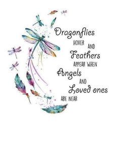 the words dragonflies hover and feathers appear when angels and love ones are near