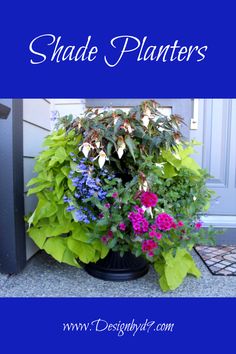 a planter filled with lots of flowers sitting on top of a blue floor next to a door