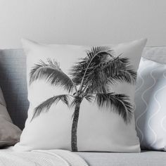 a black and white photo of a palm tree on a couch with the sky in the background