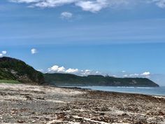 the beach is covered in seaweed and rocks under a blue sky with white clouds