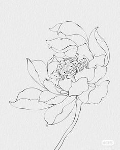 a drawing of a flower in black and white