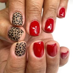 Cheetah Nails, Print Nails, Leopard Nails, Fall Acrylic Nails, Animal Print Nails, Cute Gel Nails, Get Nails