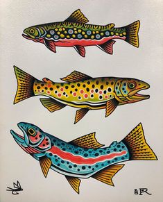 three different colored fish on white paper