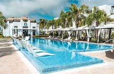 an outdoor swimming pool with lounge chairs and umbrellas next to the resort's main building