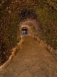 a stone path with lights on both sides and trees lining the walkway between them at night