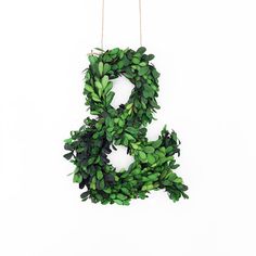 the letter s is made out of green leaves and hangs on a chain from a hook