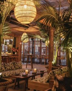 the inside of a restaurant with palm trees and couches