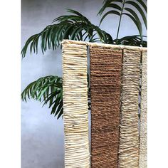 two tall vases made out of straw with plants in the backgrounnd