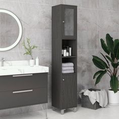 a bathroom with a sink, mirror and cabinet next to a potted green plant