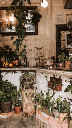 the interior of a restaurant with potted plants on the counter and hanging lights above