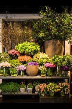 many different types of flowers in vases on a shelf