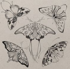 four butterflies are shown in black and white on a piece of paper with some ink