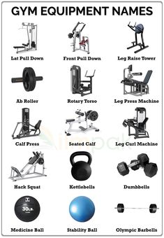 an image of gym equipment names