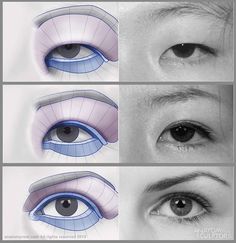 four different views of an eye