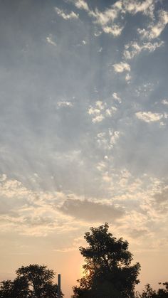 the sun is setting behind some trees and clouds in the sky, with an airplane flying overhead