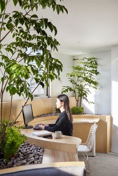 a woman sitting at a desk using a computer