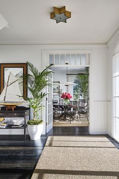 a living room filled with furniture and plants