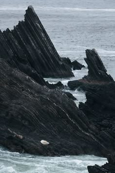 an animal standing on top of a rocky cliff next to the ocean with waves coming in