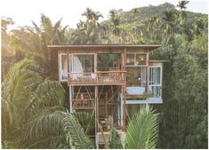 a house in the jungle surrounded by palm trees