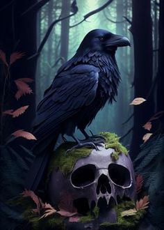 a crow sitting on top of a skull in the woods