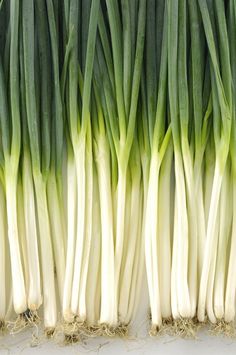 green and white onions are lined up together