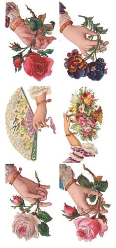 several images of different flowers and hands