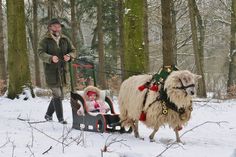 a man pulling a child in a sleigh pulled by a wooly sheep