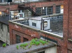 an old brick building with green plants growing on it's roof and water running down the side