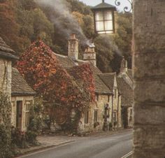 a street with houses and trees on both sides