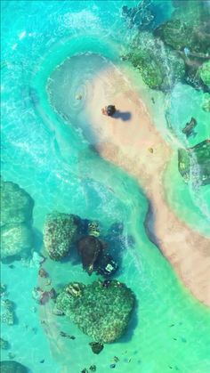 an aerial view of the ocean with rocks and algaes in clear blue water, as seen from above