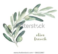 an olive branch with green leaves and the words olive branch