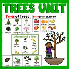 trees unit with pictures and words