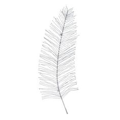 a drawing of a feather on a white background