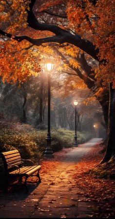 a park bench sitting on top of a sidewalk next to a tree filled with leaves